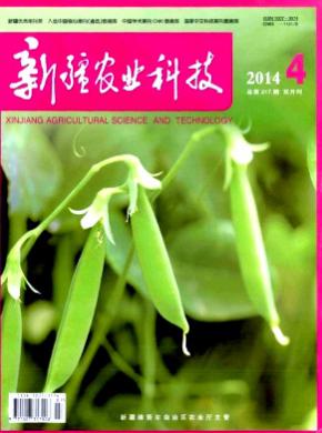 新疆農業科技